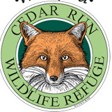 Junior Nature Photographers - logo